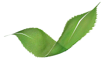 sustainable weave